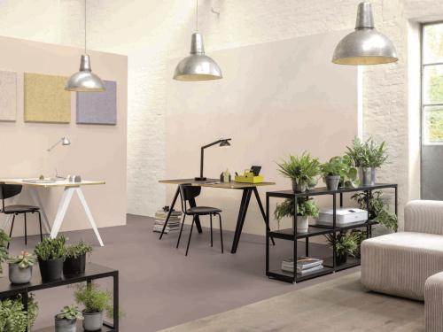 Home sweet Home Trendfarben (2)